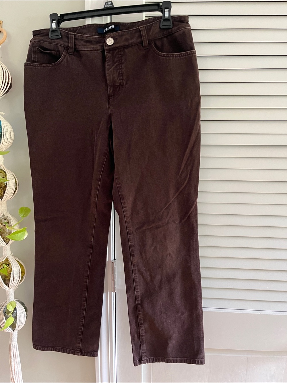 Chaps Straight Leg Jeans in Dark Brown